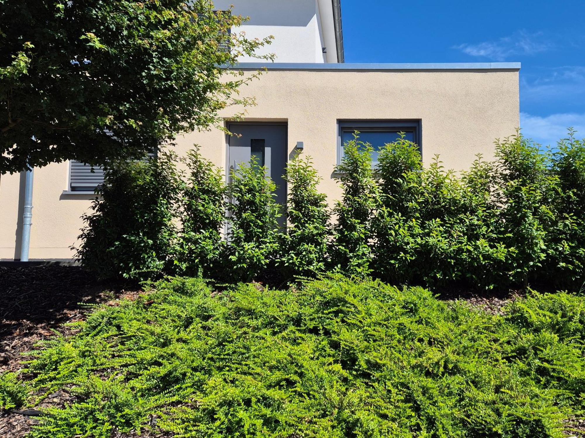 Ferienwohnung Wine&Hike Wincheringen Exterior foto